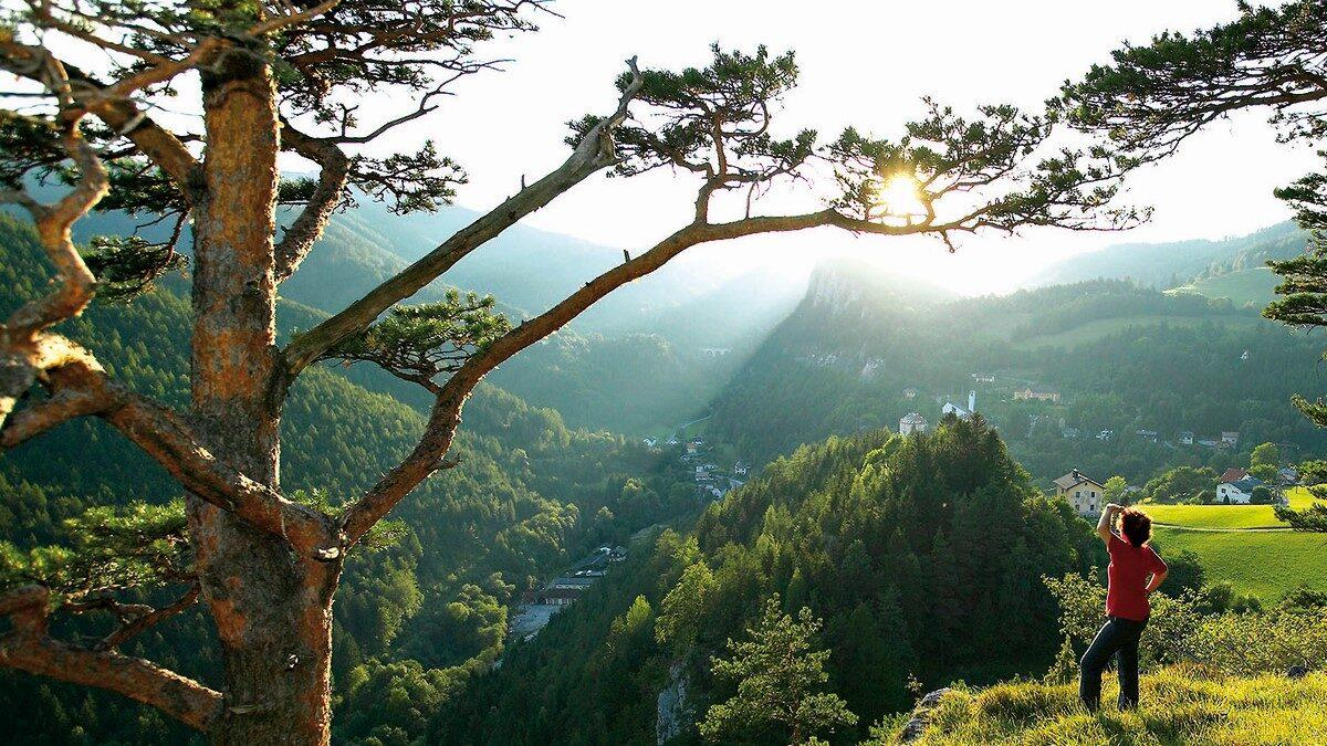 Landschaft