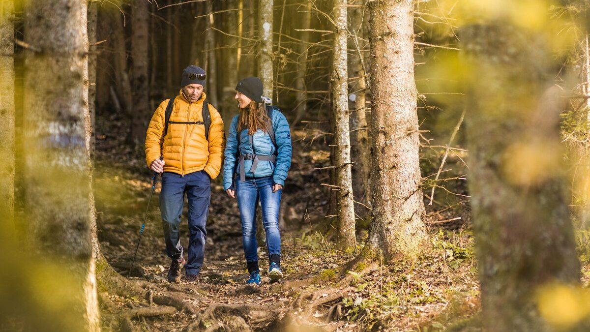 Wandern durch den Wald