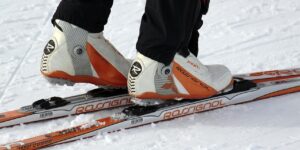 cross-country skiing, winter, cross country skiing-3020748.jpg