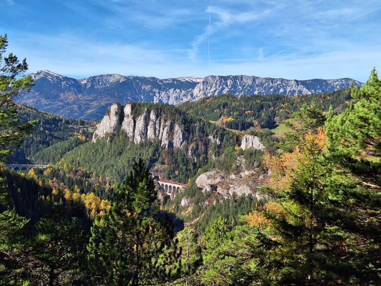 20 Schilling Blick Herbst